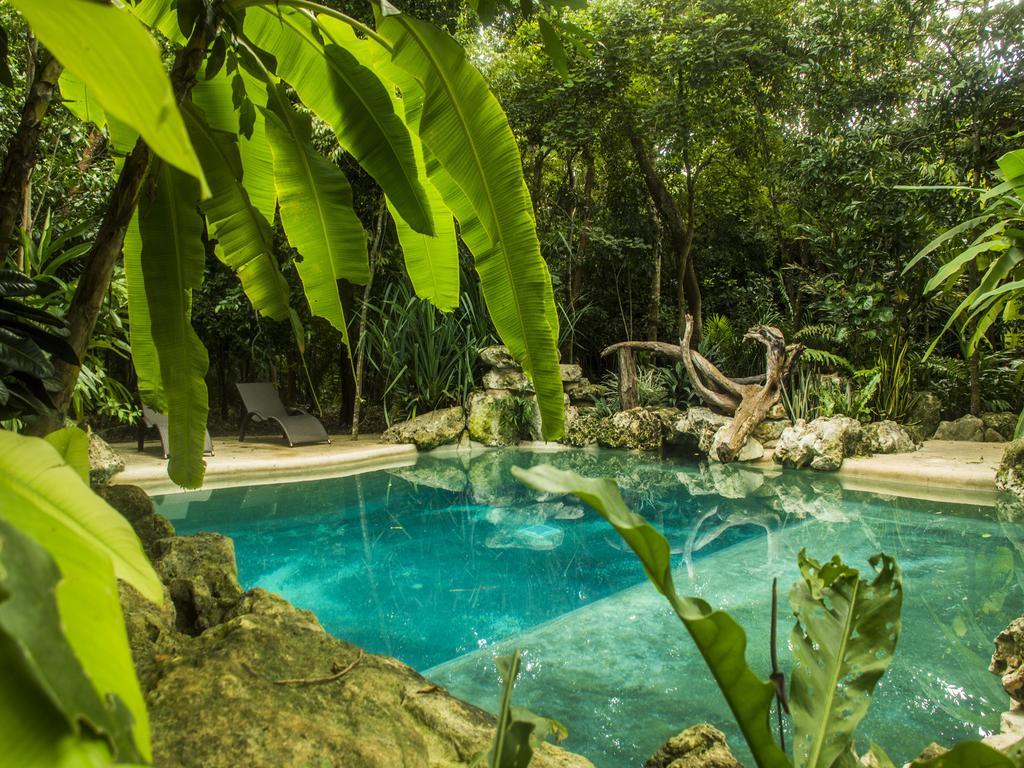 La Hacienda Cancun- El Ramonal, Monkey Sanctuary 호텔 외부 사진